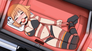 ♥️緊縛(ソフト寄り)二次エロまとめ